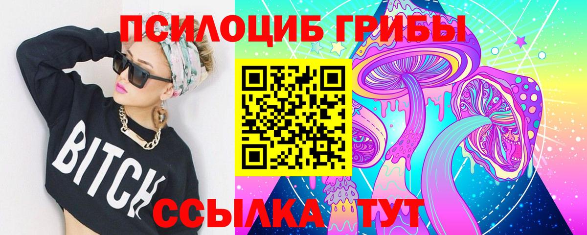 Галлюциногенные грибы Psilocybine cubensis Карасук