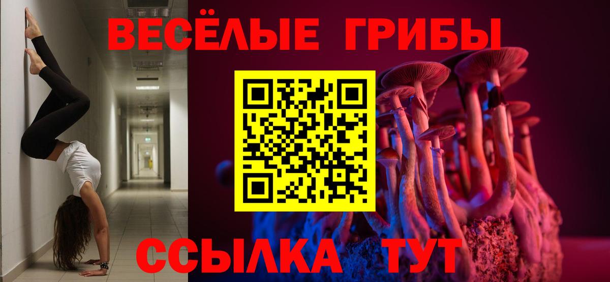 Галлюциногенные грибы Psilocybine cubensis  Вход с VPN  Карасук 